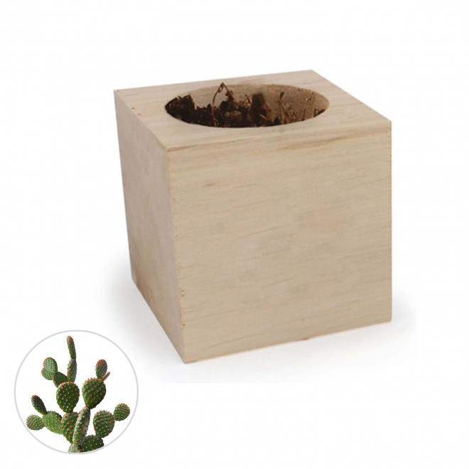 CUBE EN BOIS PUBLICITAIRE AVEC PLANTE OU ARBRE 'HARWOR' - cactus