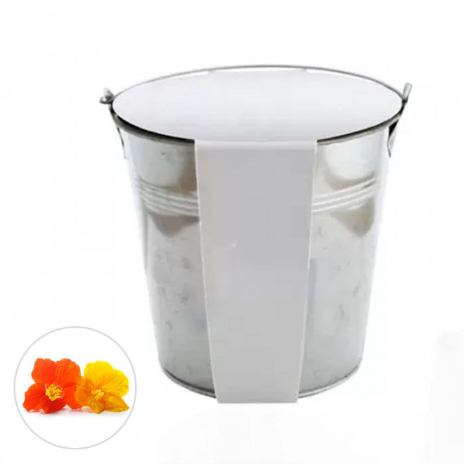 KIT PLANTATION POT ZINC MIF 13ø 'PLANTOU' - capucine