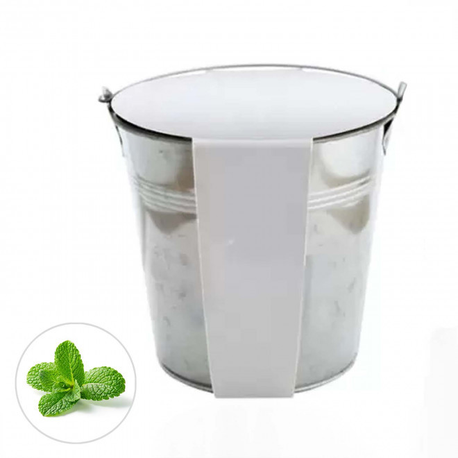 KIT PLANTATION POT ZINC MIF 13ø 'PLANTOU' - menthe