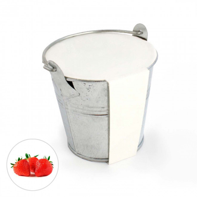 KIT PLANTATION POT ZINC MIF PUBLICITAIRE 8ø 'PLANTOU' - fraise des bois