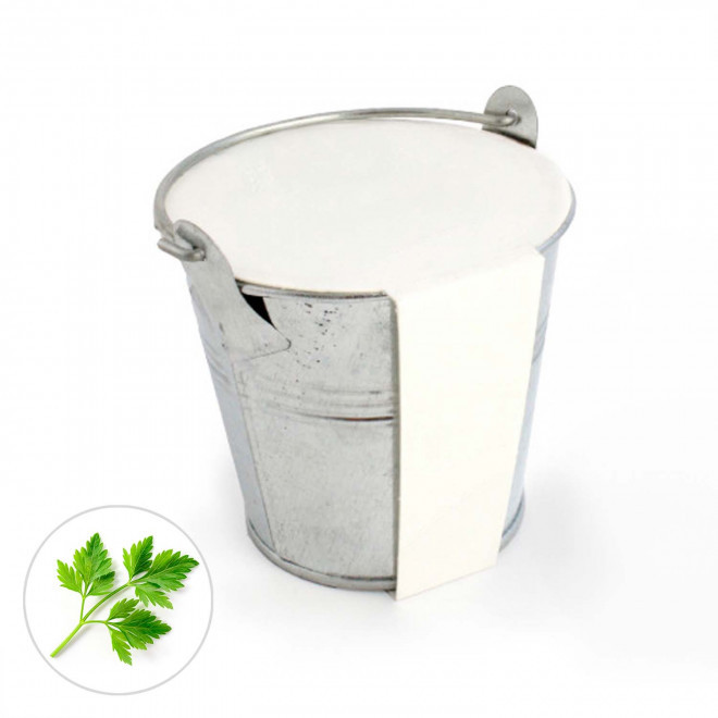 KIT PLANTATION POT ZINC MIF PUBLICITAIRE 8ø 'PLANTOU' - persil