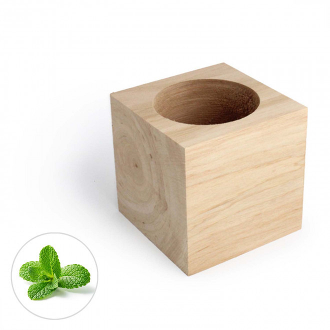 CUBE EN BOIS À GRAINES PERSONNALISÉ 'EPIA' - menthe