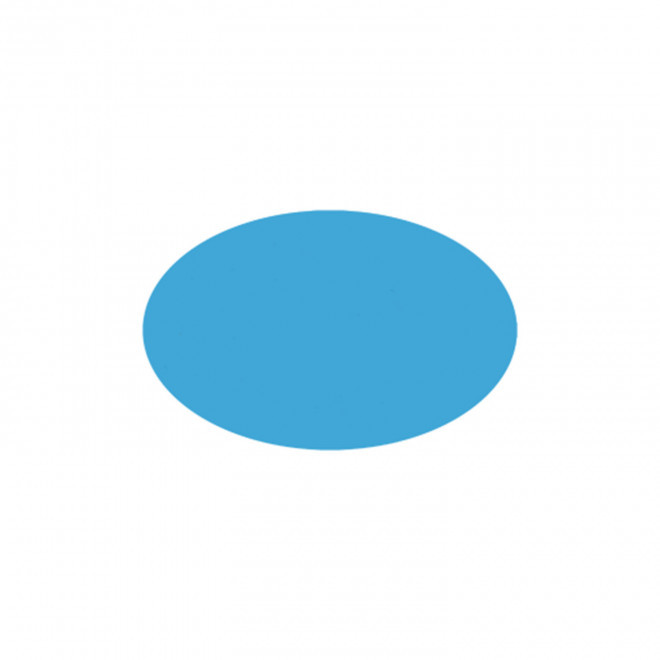 JETON DE FETES ET MANEGE PERSONNALISABLE 'FUNZY OVALE' - bleu clair