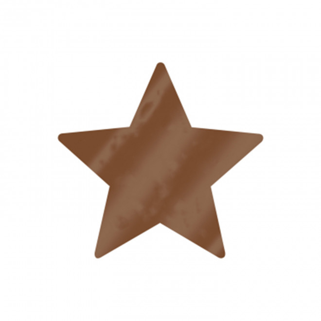 JETON DE FETES ET MANEGE PERSONNALISABLE 'FUNZY ETOILE' - cuivre - 7x7xcm