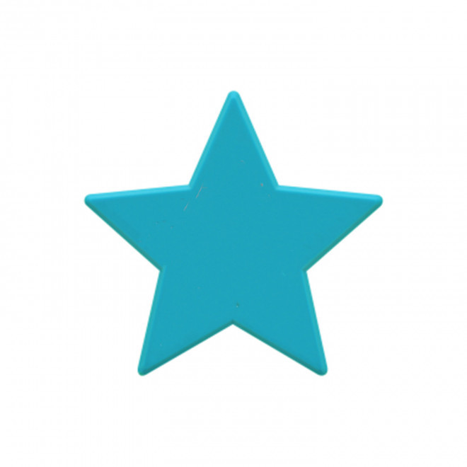 JETON DE FETES ET MANEGE PERSONNALISABLE 'FUNZY ETOILE' - turquoise - 7x7cm