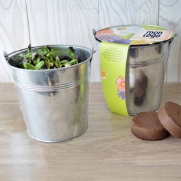 KIT PLANTATION POT ZINC MIF 13ø 'PLANTOU'
