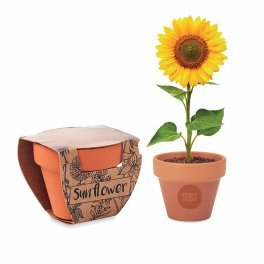 KIT DE PLANTATION PERSONNALISABLE 'POPPY'