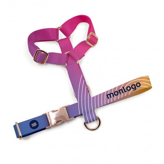 HARNAIS POUR ANIMAUX PERSONNALISABLE 'MOUNDY'