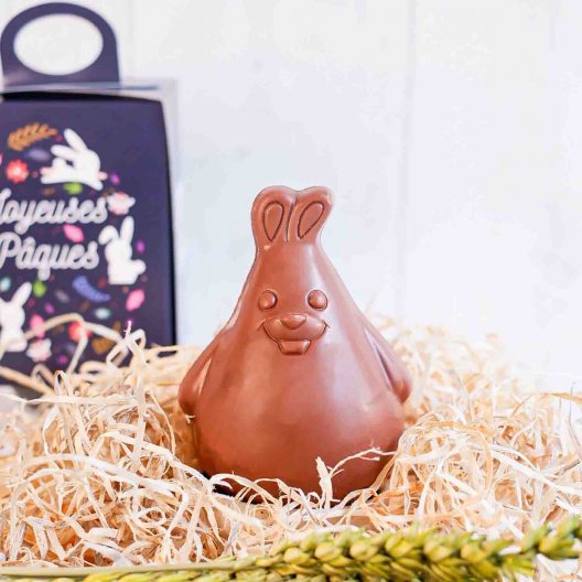 MOULAGE EN CHOCOLAT BIO NOIR OU AU LAIT PERSONNALISÉ LPCC® 'CHOCO'