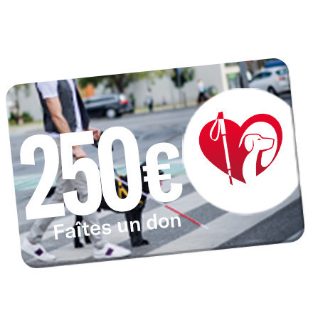 OBJETRAMA REVERSE UN DON DE 250€ À LA FFAC !