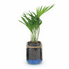 MINI PLANTES DEPOLLUANTES PERSONNALISABLES MIF 'ALORA'