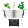 BAC A PLANTES PUBLICITAIRE 'BACAN BLANC'