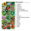 BAC A PLANTES PUBLICITAIRE 'BACAN BLANC'