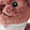 PELUCHE OURSON PERSONNALISABLE 'TEDDY INFIRMIERE'