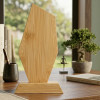 TROPHEE PUBLICITAIRE BAMBOU 'FAUSTINO FLAMME'