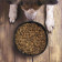 BOL PERSONNALISABLE POUR ANIMAUX 'ACHILLE'