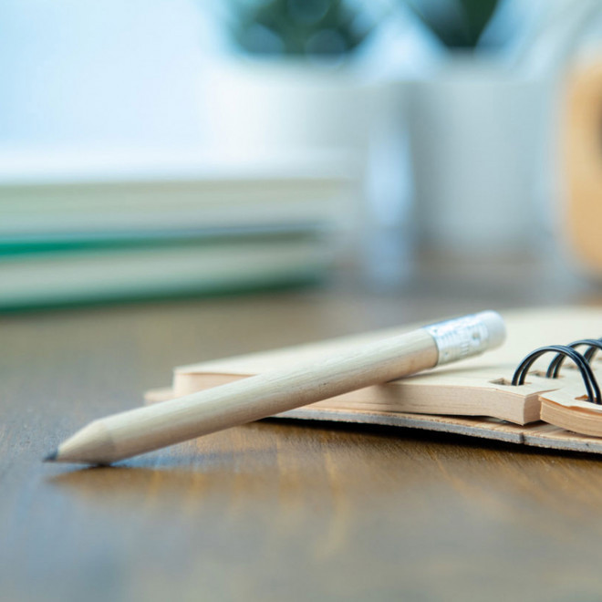 LOT DE 100 MINI CRAYONS A PAPIER PERSONNALISÉS EN BOIS 'CRAYOLITO'