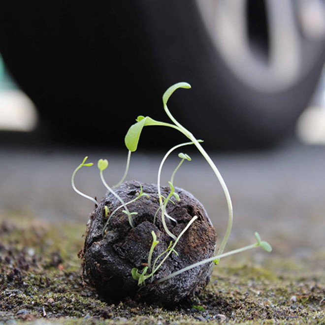 BOMBE À GRAINES PUBLICITAIRE 'BOULY'