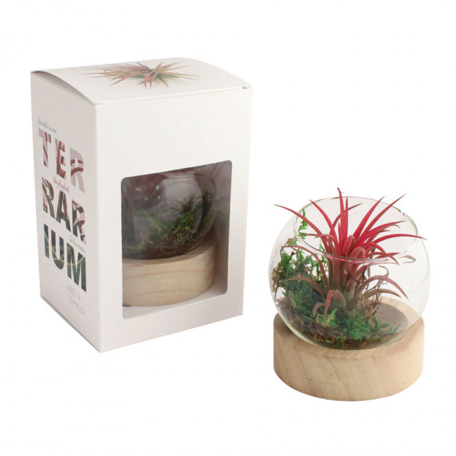 TERRARIUM PERSONNALISÉ EN VASE AVEC SOCLE EN BOIS 'RALINA'