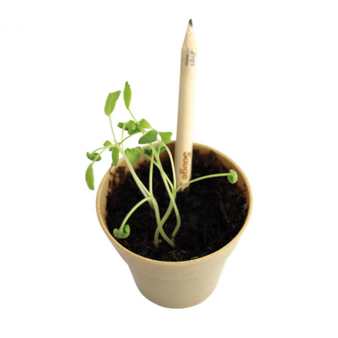 CARTE DE VOEUX PERSONNALISÉE AVEC CRAYON À PAPIER GRAINES 'HAPPY'