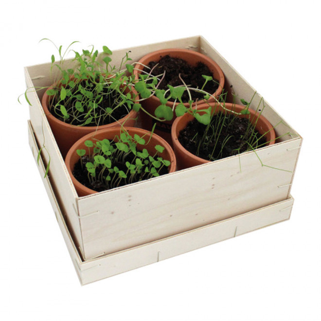 COFFRET AROMATIQUE PERSONNALISABLE EN BOIS 'AROMATUS'