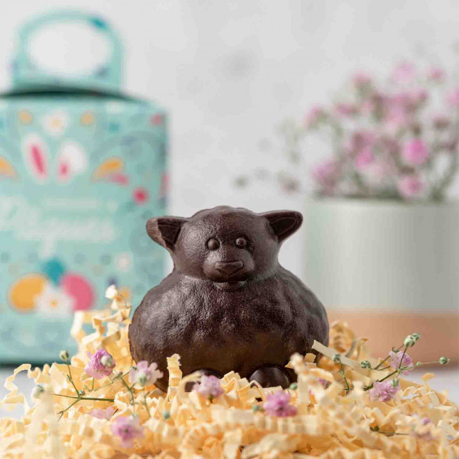 MOULAGE EN CHOCOLAT BIO NOIR OU AU LAIT PERSONNALISÉ LPCC® 'CHOCO'