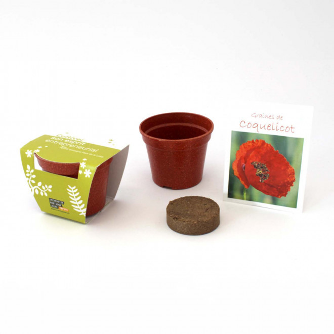 KIT PLANTATION PAILLE RIZ PERSONNALISABLE 'ARROSY COLOR'