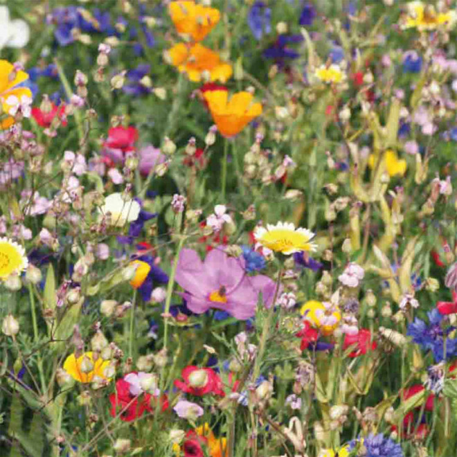 TOUR DE COU ENSEMENCÉ PERSONNALISABLE 'LOREA'