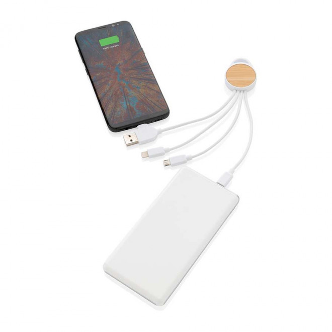 CÂBLE PERSONNALISÉ RÉTRACTABLE RCS 5 EN 1 'ONTARIO'