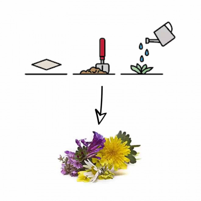 PAPIER ENSEMENCE MIE PERSONNALISABLE 'HORTUS' A4