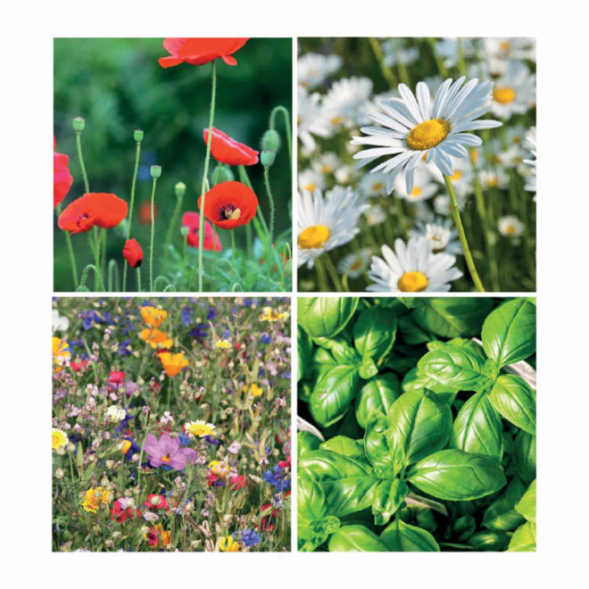 CARTE A PLANTER ENSEMENCEE PERSONNALISABLE 'HORTUS FORME'