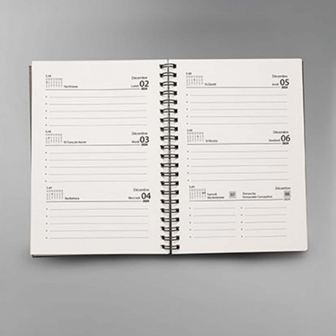 AGENDA PERSONNALISABLE QUINZAINIER A SPIRALES 'CANVA'