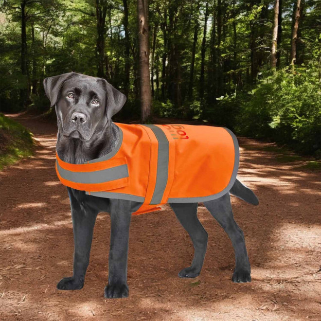 GILET DE VISIBILITE CHIEN PERSONNALISABLE 'FLUOSAFE DOG'