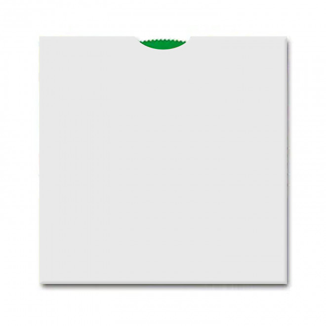 DISQUE PEDAGOGIQUE PERSONNALISABLE 'FRUITS ET LEGUMES'