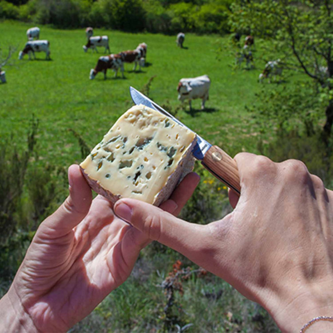 COUTEAU PERSONNALISE EN OLIVIER 'OLIVTO'