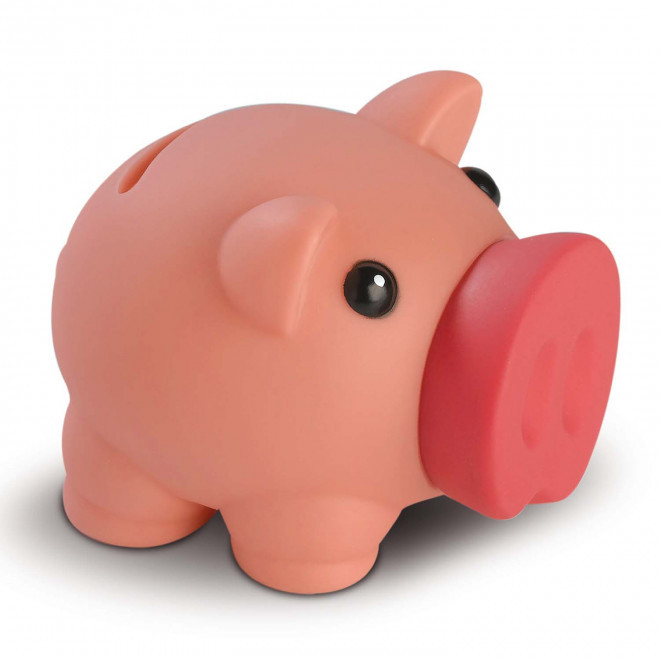 RAPIDE 4J - TIRELIRE PERSONNALISABLE 'GROWY' - rose