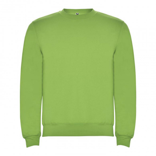 SWEAT SHIRT PERSONNALISE 'RAPHAEL KIDS' - vert clair