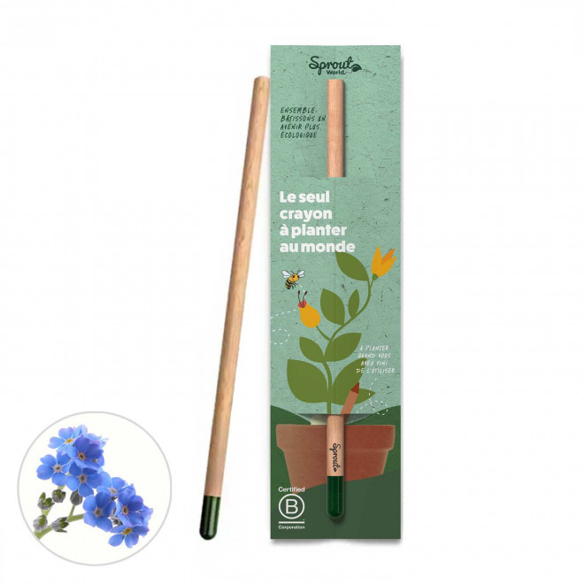 CRAYON GRAINES PERSONNALISÉ CARTONNETTE 'POUSS' - myosotis