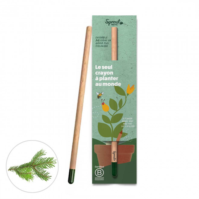 CRAYON GRAINES PERSONNALISÉ CARTONNETTE 'POUSS' - épicea