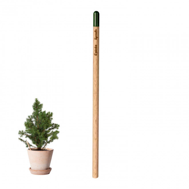 CRAYON PAPIER GRAINES PERSONNALISABLE 'POUSS' - épicea