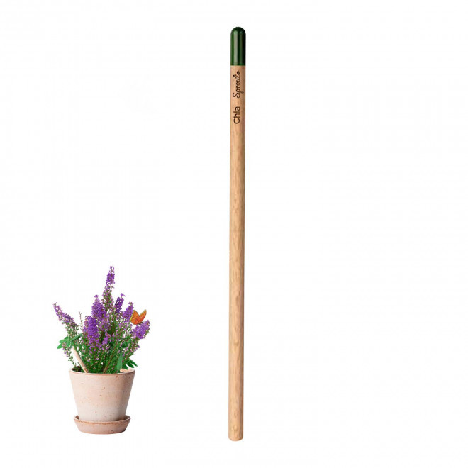 CRAYON PAPIER GRAINES PERSONNALISABLE 'POUSS' - chia