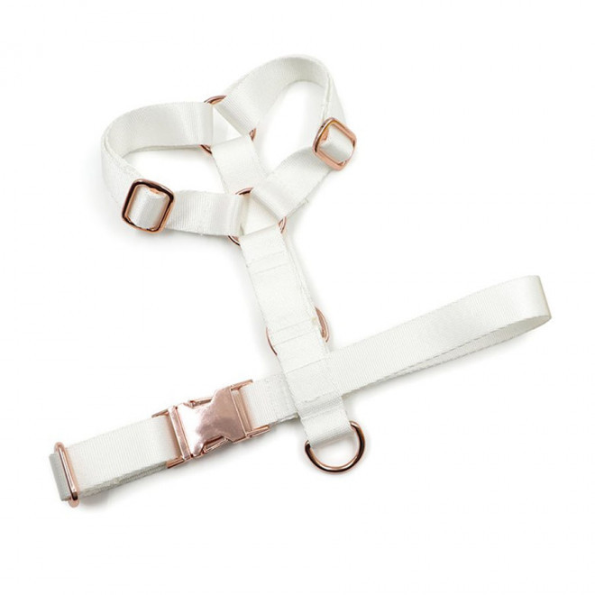 HARNAIS POUR ANIMAUX PERSONNALISABLE 'MOUNDY' - blanc
