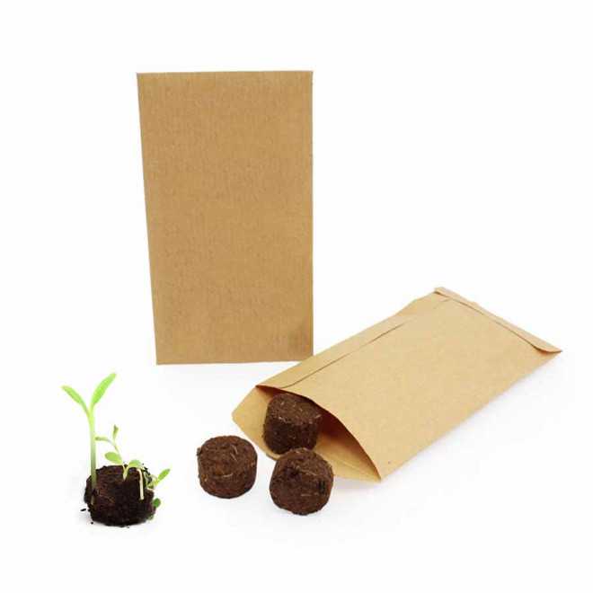 SACHET PERSONNALISABLE DE 3 PALETS A GRAINES 'FLEURIS'  - kraft