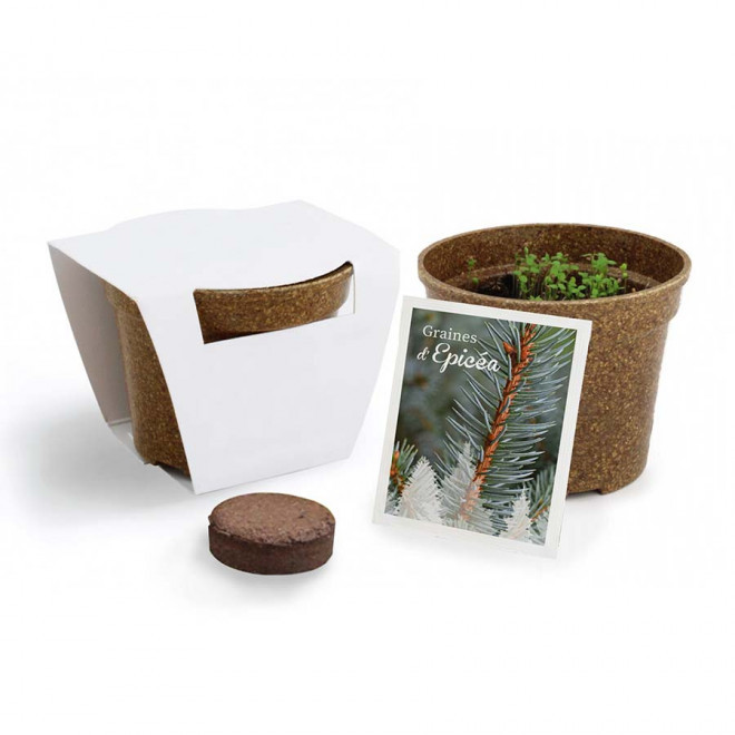 KIT PERSONNALISABLE DE PLANTATION JARDIN ECOLO 'ARROZY RRIZ' - épicéa