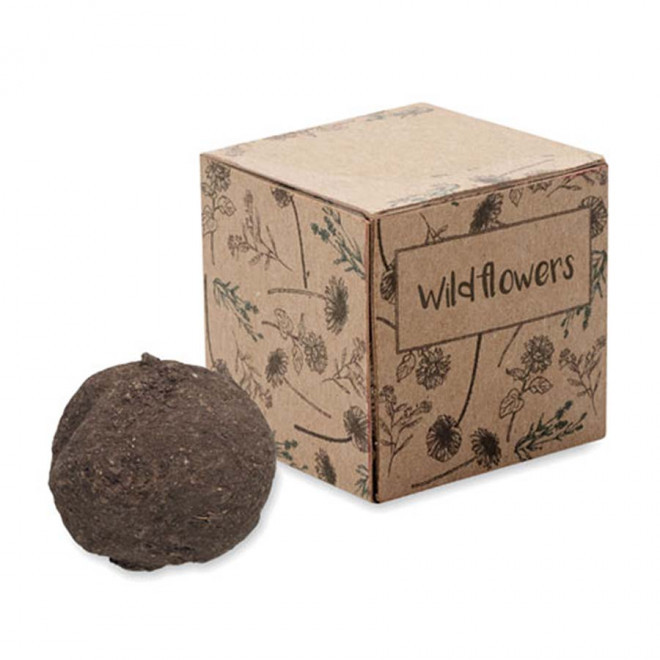 KIT DE CULTURE DE GRAINES PUBLICITAIRE 'BLOMA' - fleur sauvages