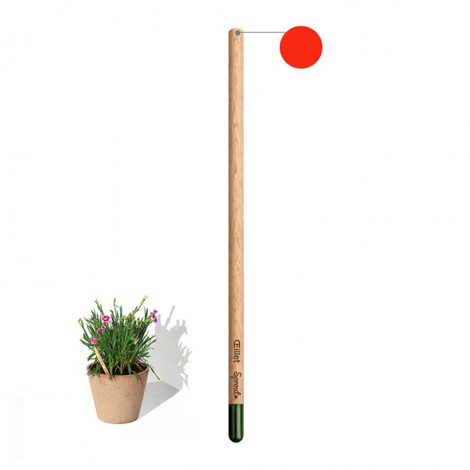 CRAYON COULEUR GRAINES PERSONNALISABLE 'POUSS COLOR' - oeillet