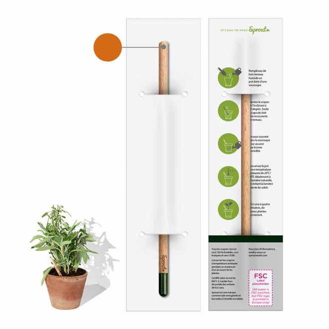 CRAYON COULEUR ET CARTONNETTE PERSONNALISÉS 'POUSS COLOR FULL' - sauge