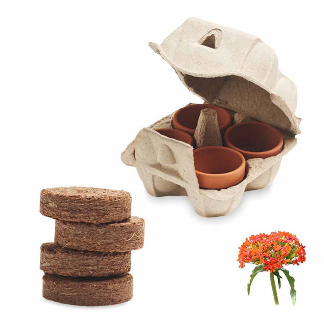 KIT DE PLANTATION PUBLICITAIRE PAPIER BLANC 'TERRI' - croix de jérusalem