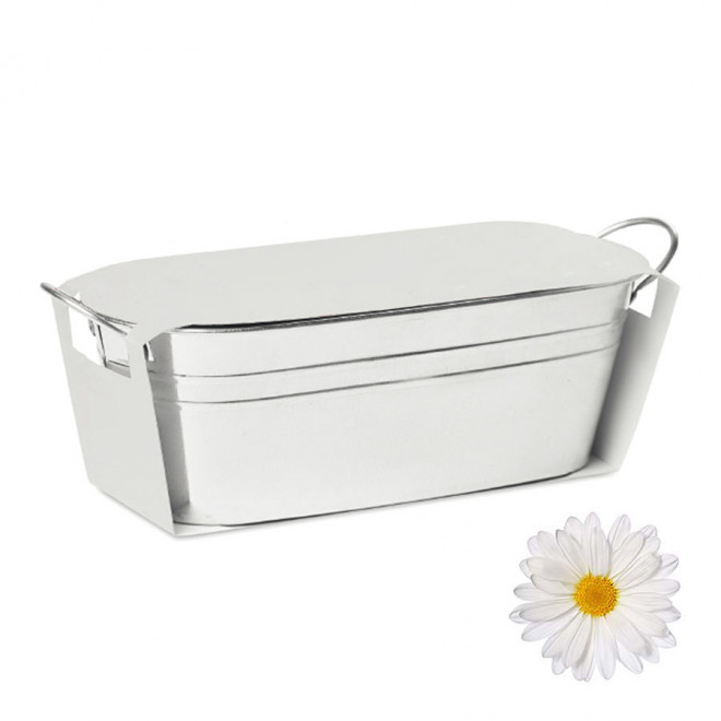 BAC A PLANTES PUBLICITAIRE 'BACAN BLANC' - marguerite