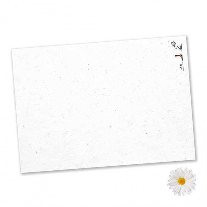 PAPIER ENSEMENCE MIE PERSONNALISABLE 'HORTUS' A4 - marguerite